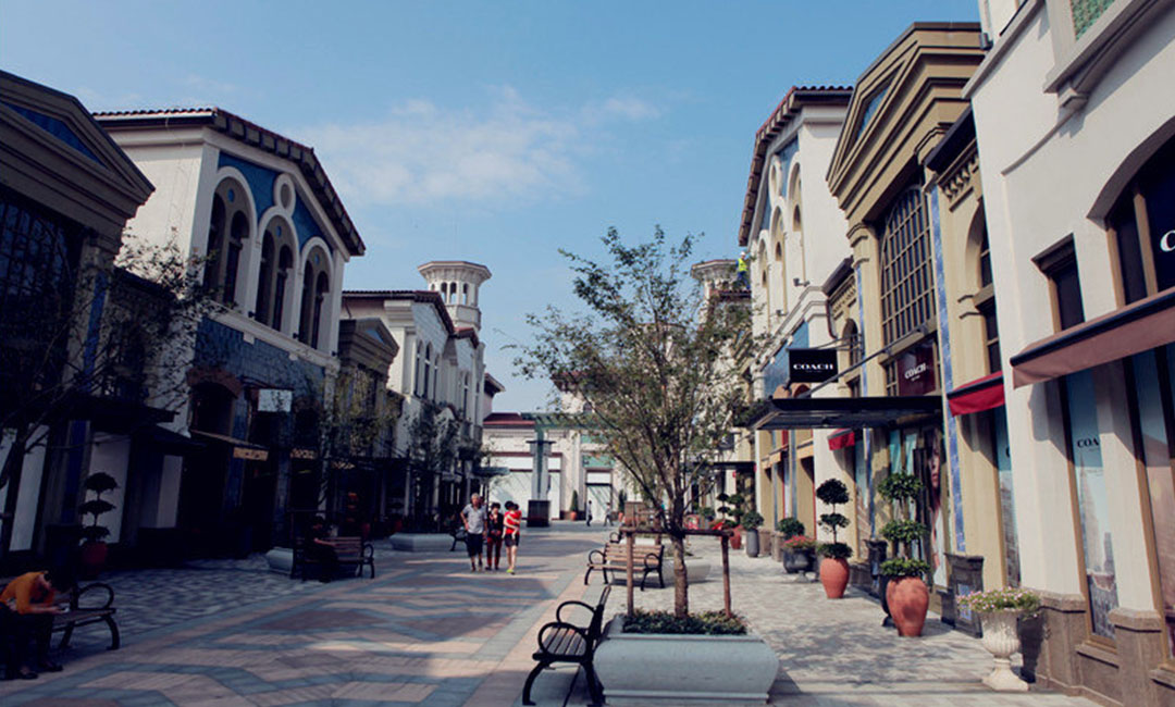 长寿词条创建案例