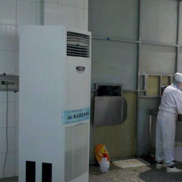 长寿食品正负离子空气杀菌器